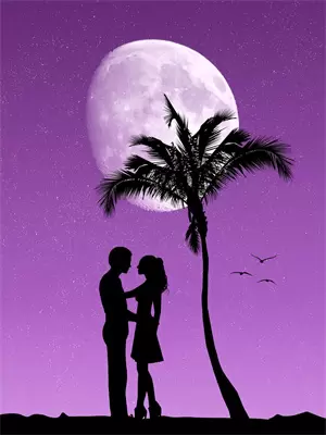 离婚后惊艳全球前妻