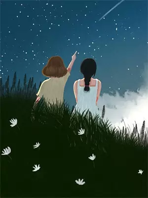 明月照芳华