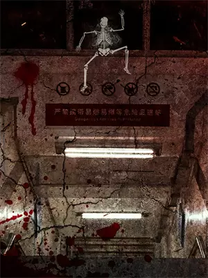 姬安宁简介