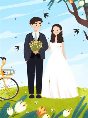 二婚嫁的好的小说