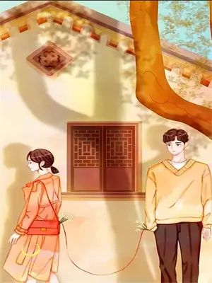 假装离婚